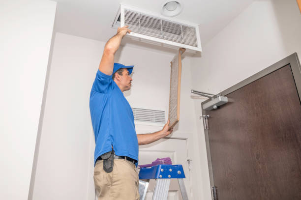 Best Local Air Duct Cleaning Services  in Wisr, NE